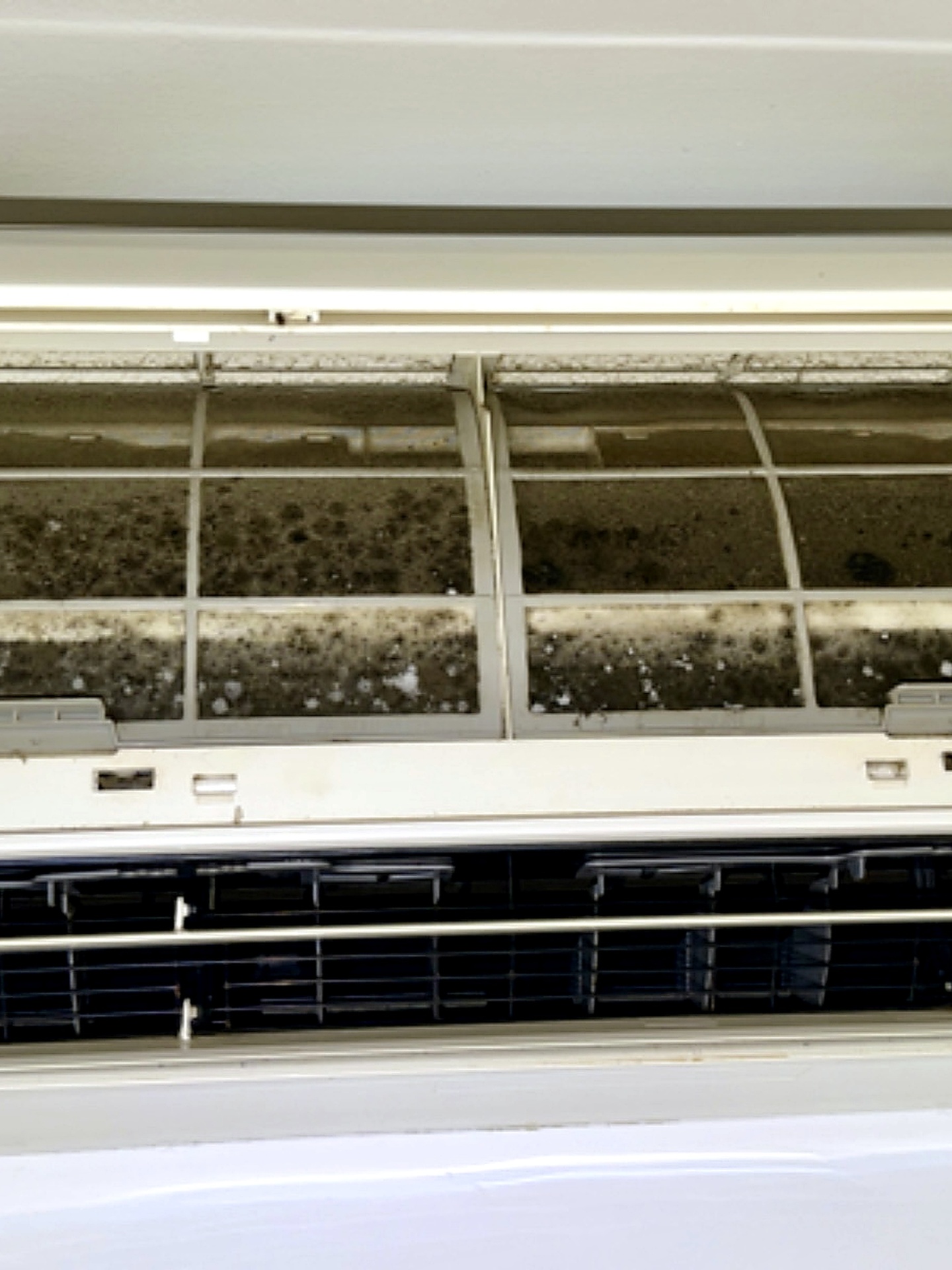 Dirty heat pump coil before cleaning